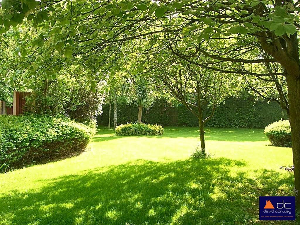 Garden.jpg
