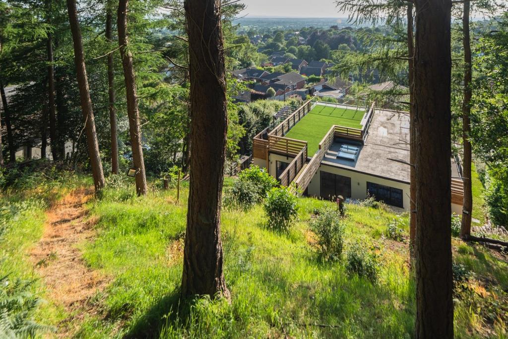 Larch Hill-2-017.JPG