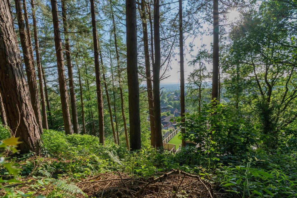Larch Hill-174.jpg