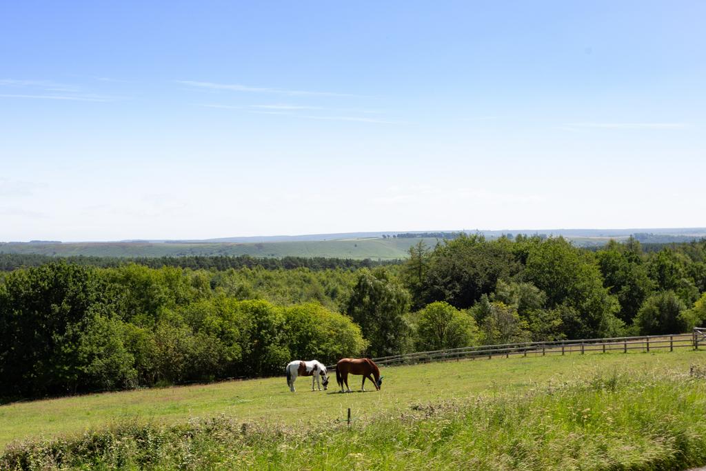 Grazing