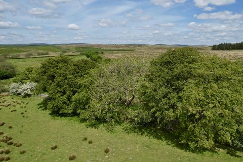 Farm land for sale, Lot 1 - Barnglieshead, Near Canonbie, Dumfries & Galloway  DG14