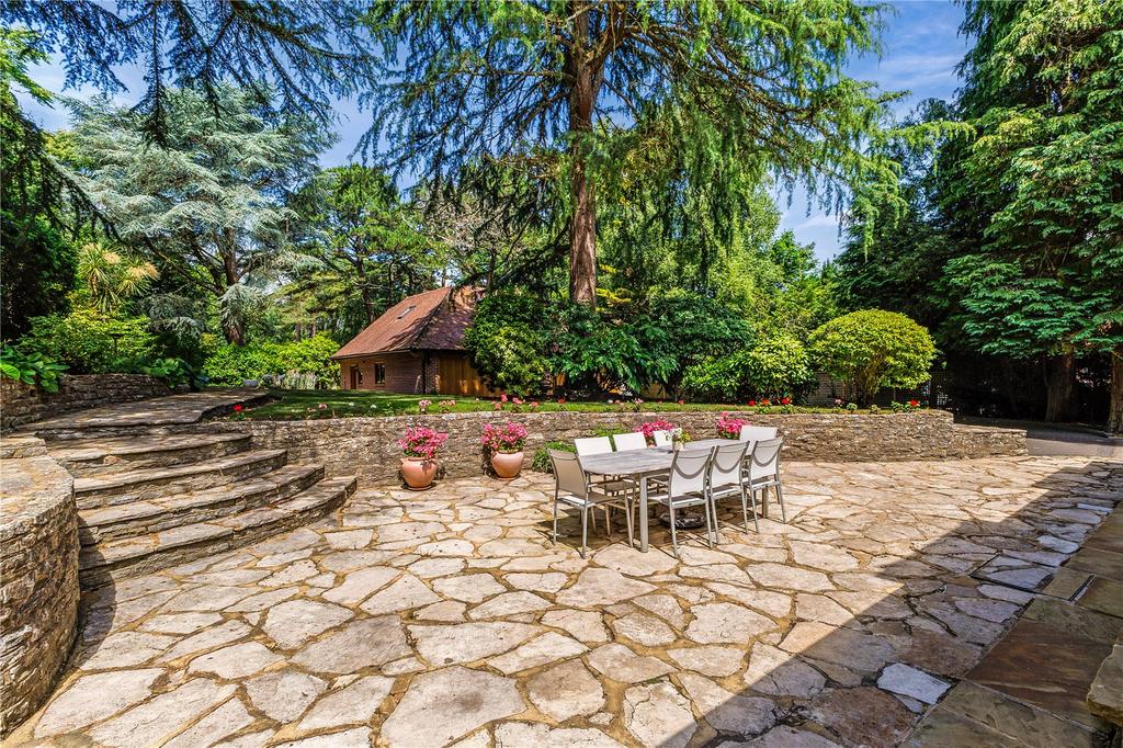 Patio Area
