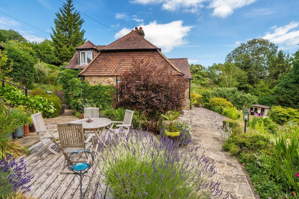 Garden view, garden