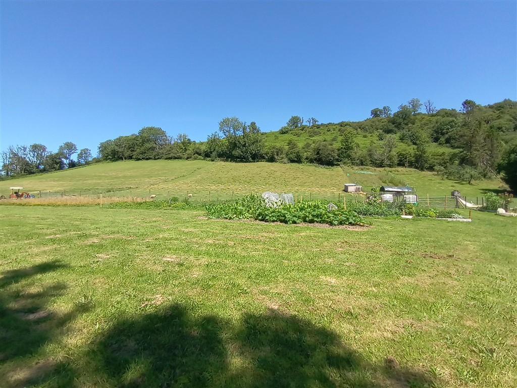 The Land - Just Under 7 Acres All In