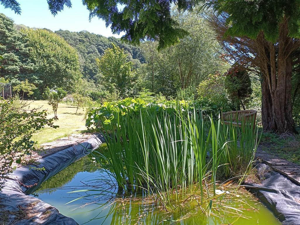 Pretty Pond In Gardens