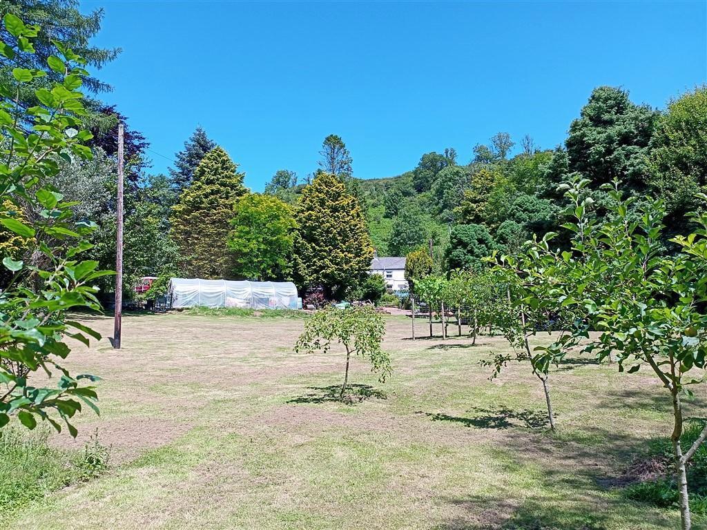 View From Bottom Of Gardens