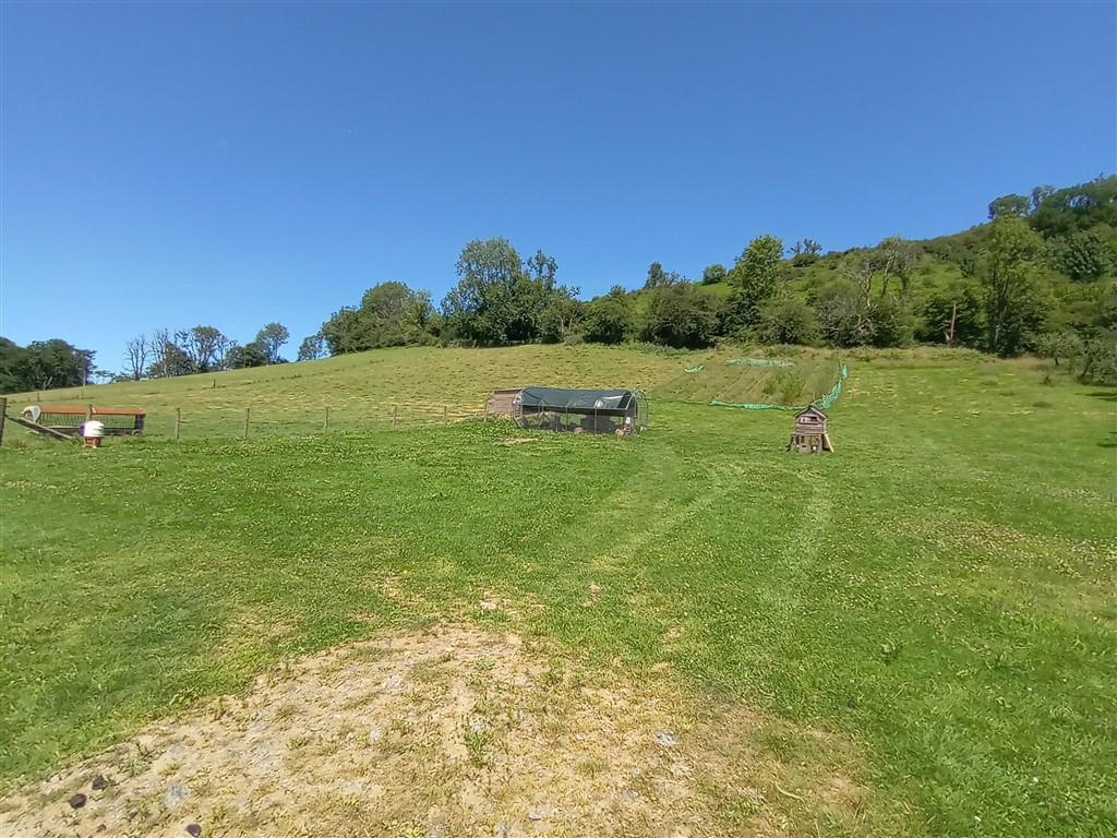 The Land