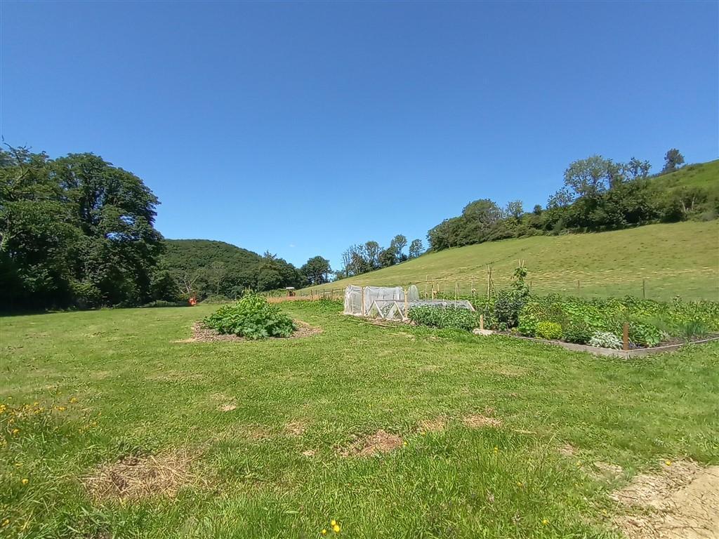 The Land And Vegetable Growing Area
