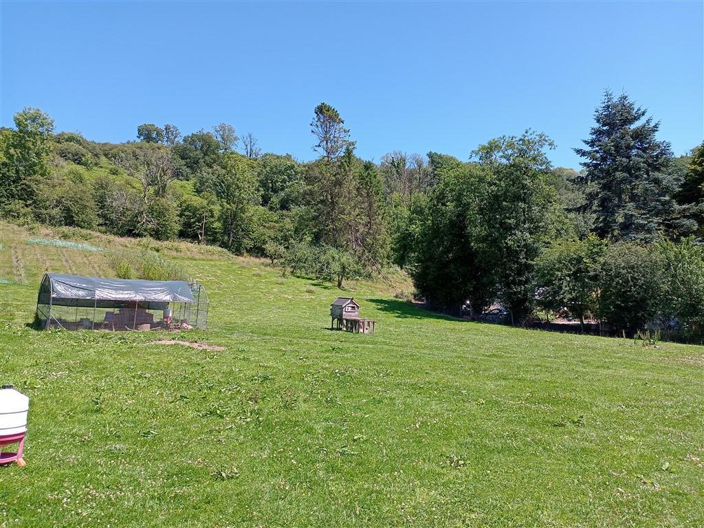 The Land