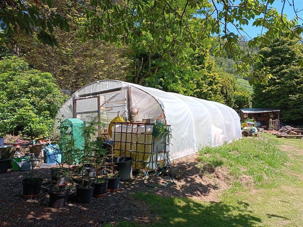 One Of Two Polytunnels