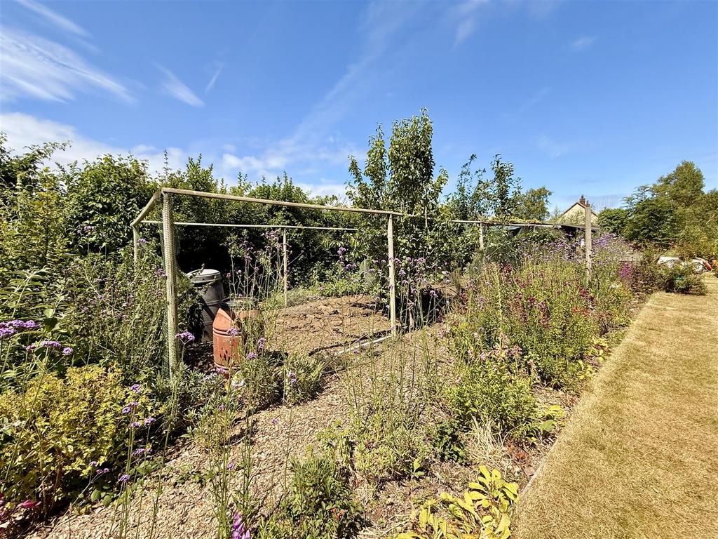 Fruit and veg garden