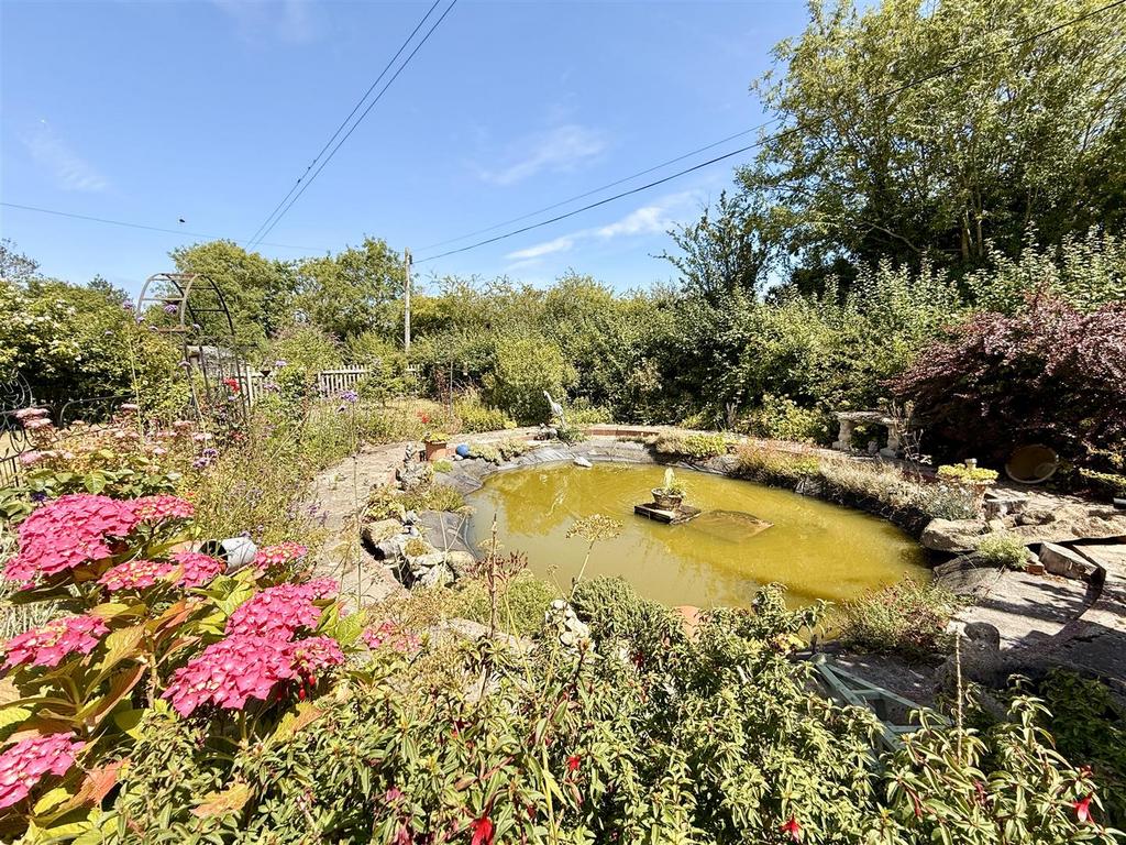 Garden pond