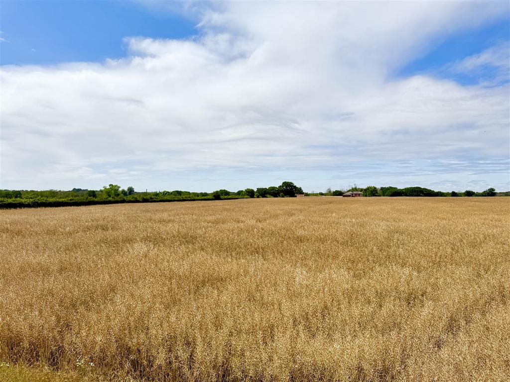 Farmland views towards Hunsett Mill