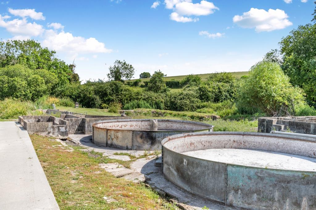 Trout Farm