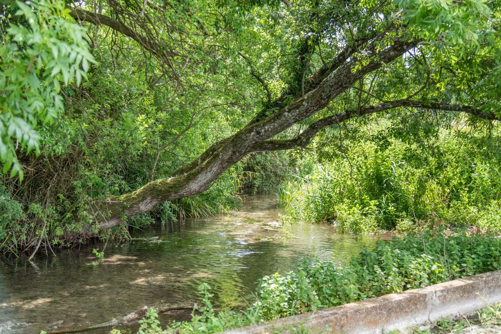 River
