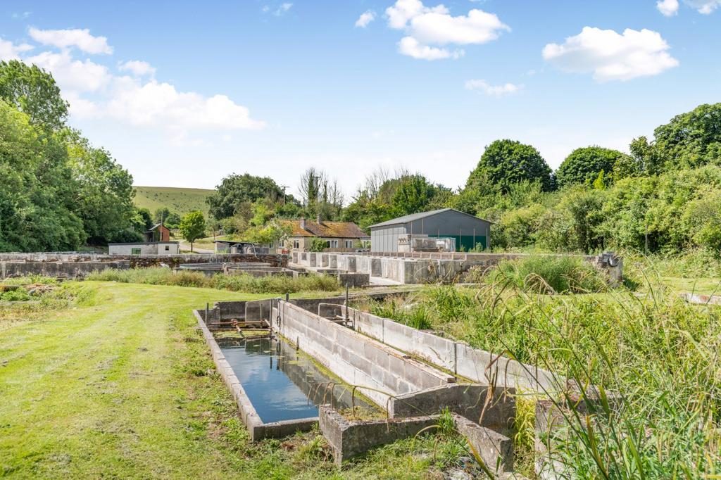 Trout Farm