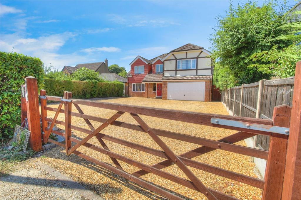 Picture No. 81