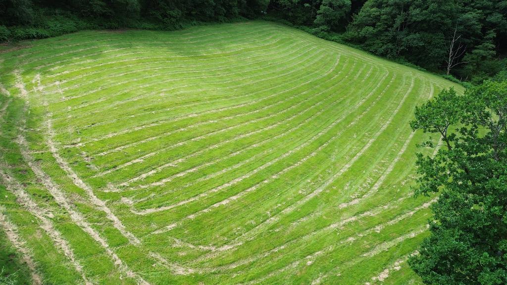 The land