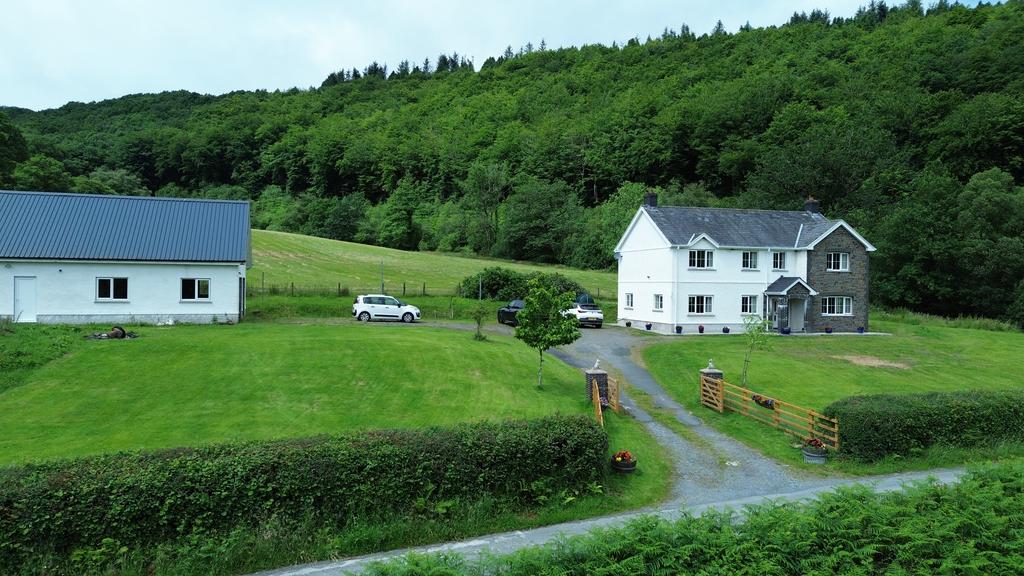 Parking and driveway