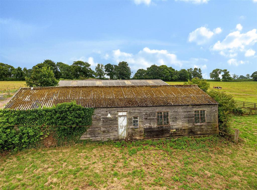 Image 1.jpg