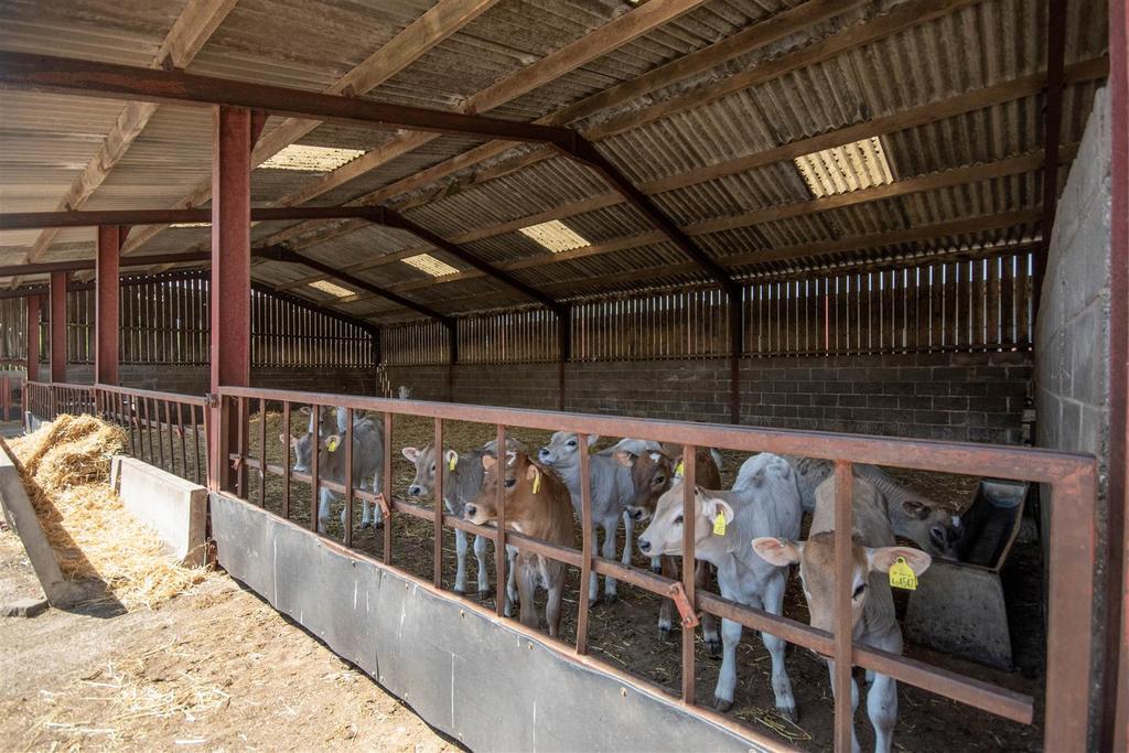 Brooklands Farm