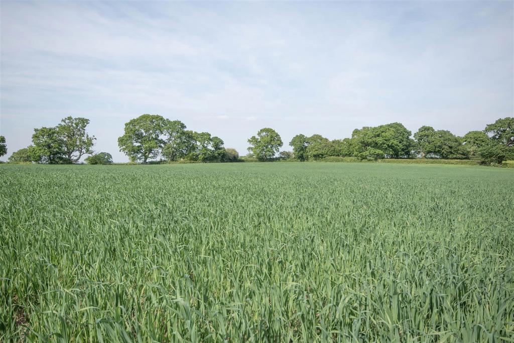 Lot 3 Land