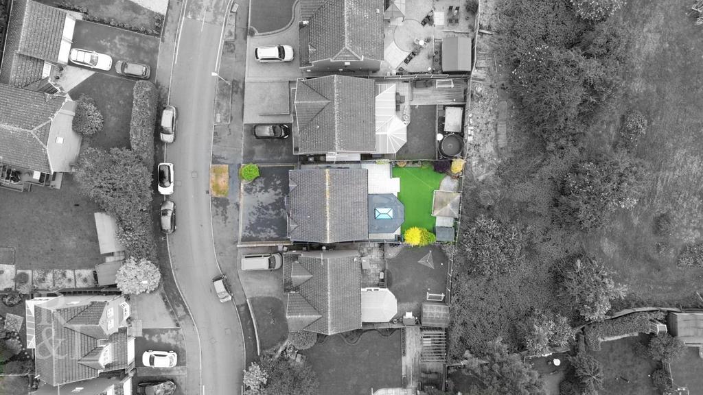 DJI 0354.jpg