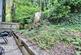 Additional image 10 of Saxon Court, Surrey