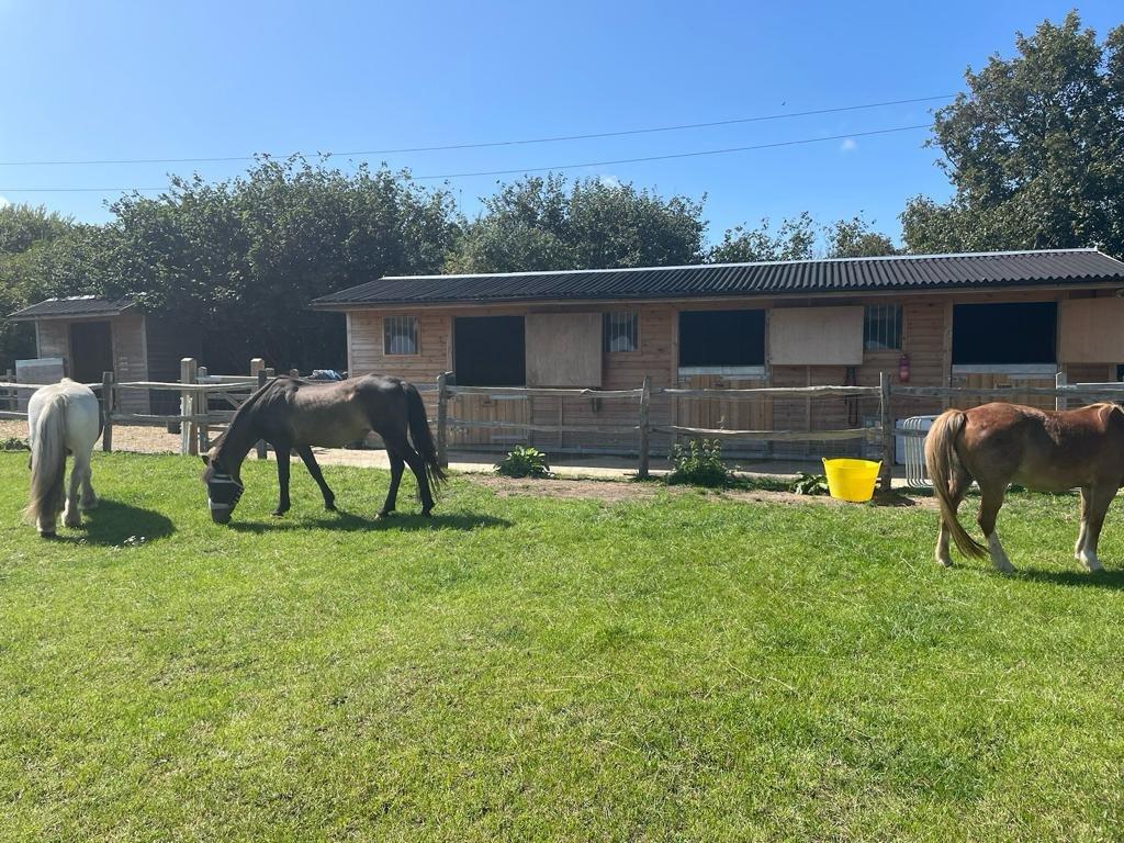 Stables