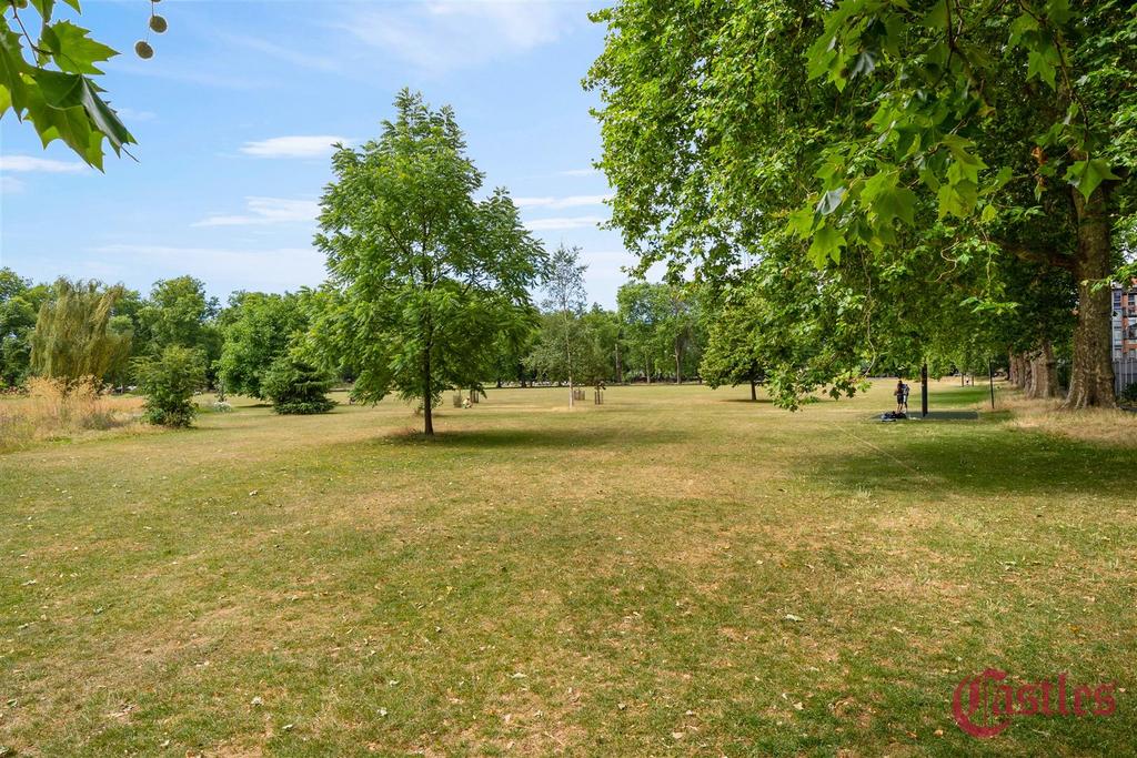 Garden view, garden