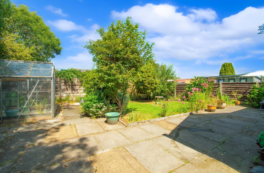 Untitled (5200 x 3900 px) (5200 x 3450 px) (8)