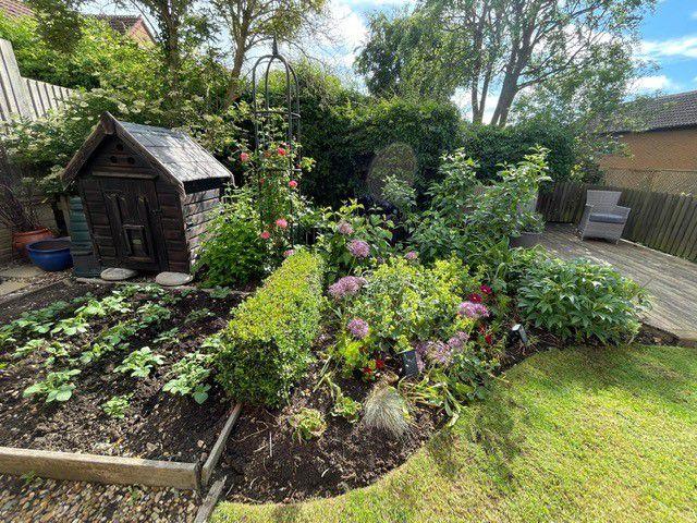 Rear Garden C
