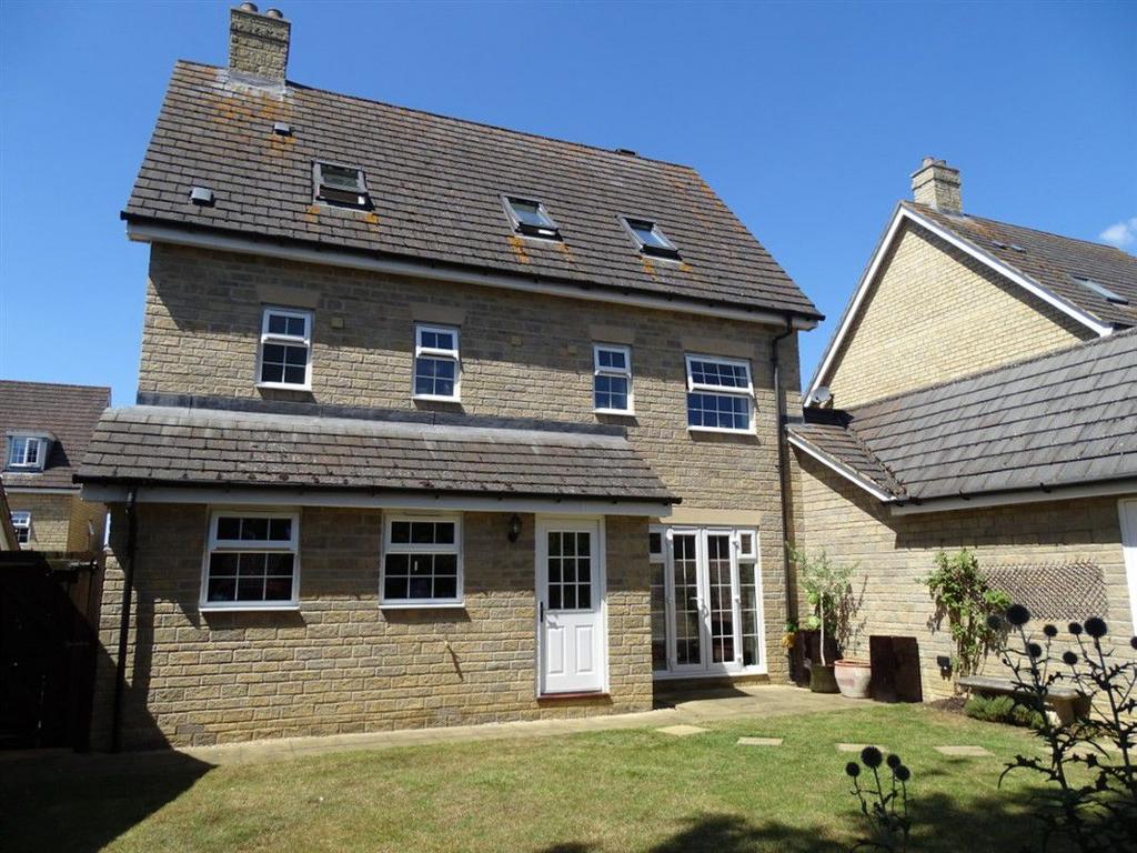 Rear Elevation