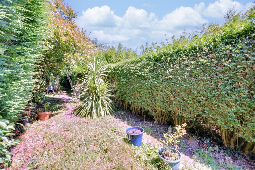 Garden 2.jpeg