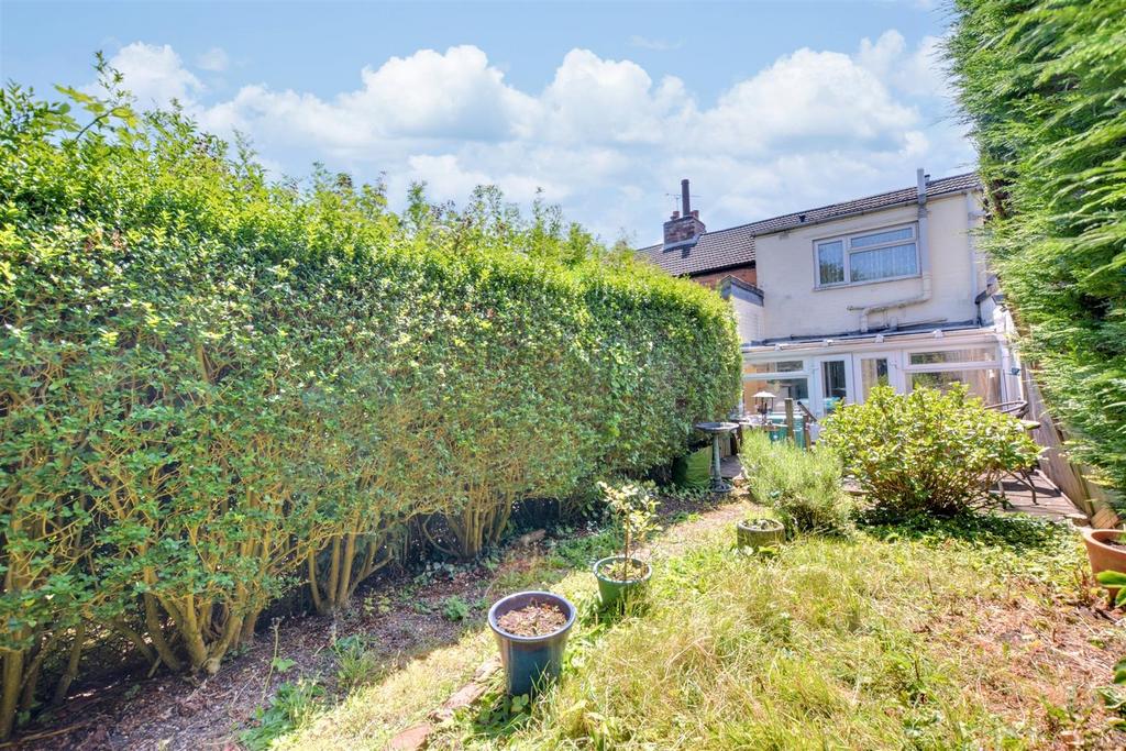 Garden 8.jpeg