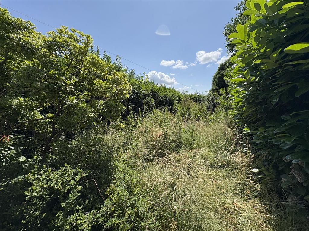 IMG 0642.jpg