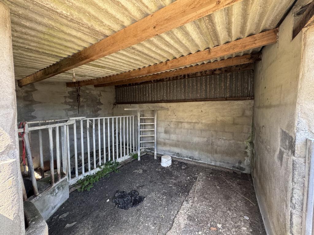 Bull Pen
