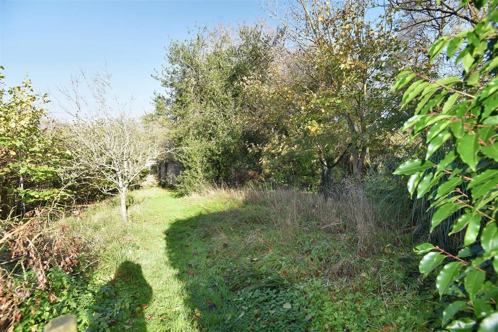 Wildlife Garden