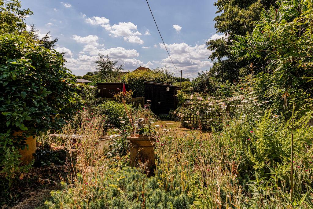 Rear Garden (2)