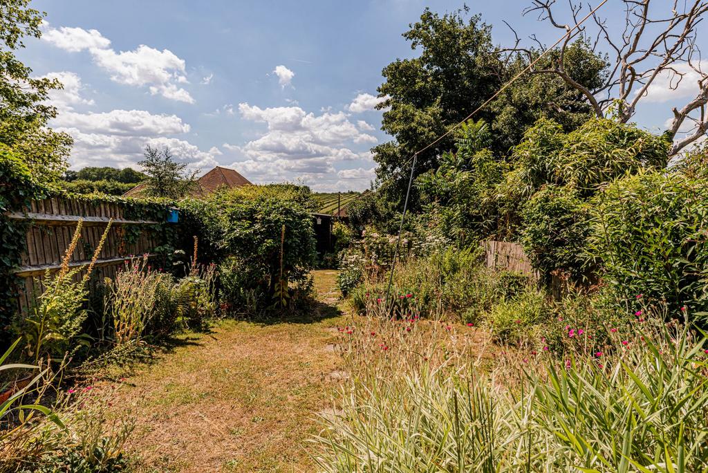 Rear Garden (4)
