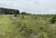 South Fen Road, Bourne photo 5