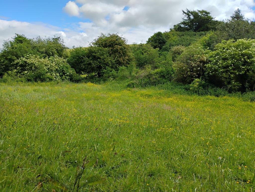 0.72 Acre Paddock