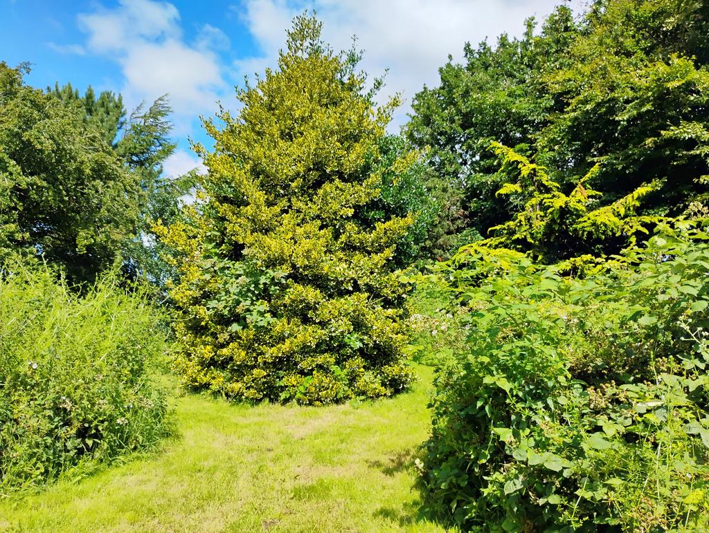Garden Grounds