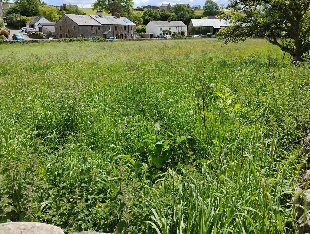 0.72 Acre Paddock