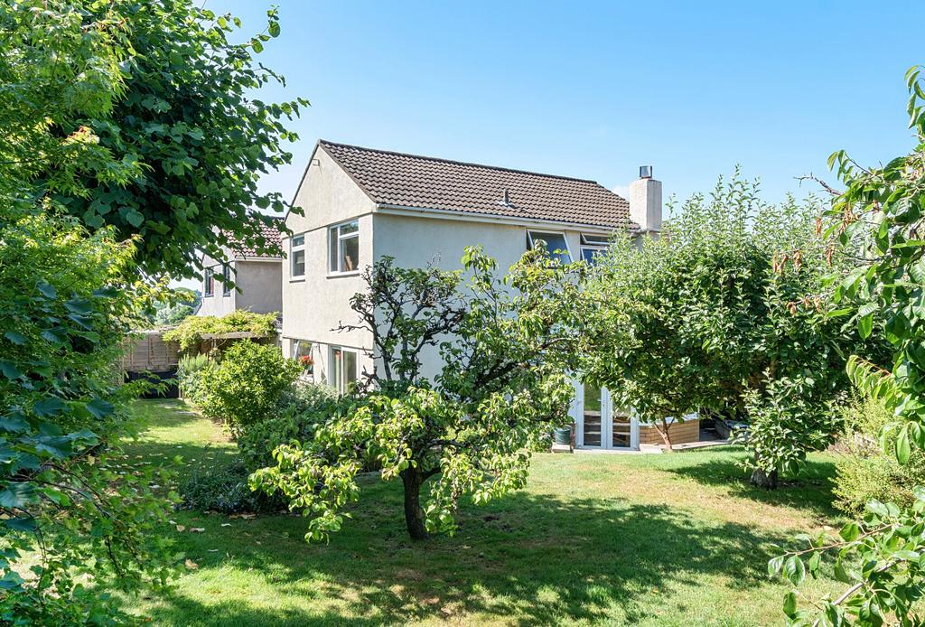 1315627 24 686009...