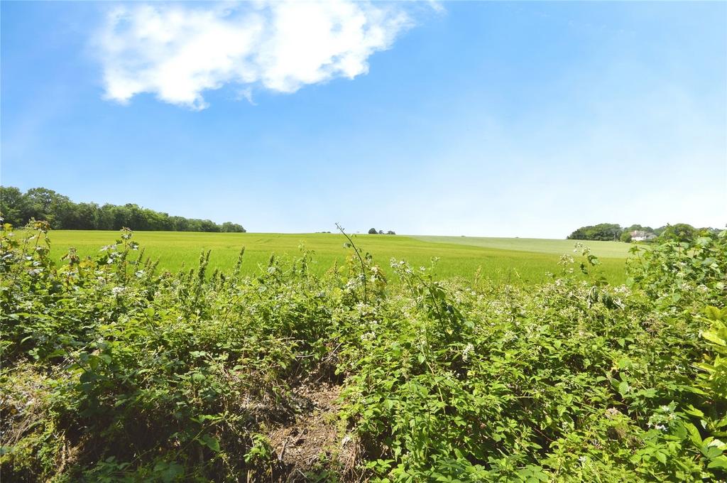 View From Top Garden