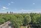 Additional image 6 of Palmers Road, Bethnal Green/Regents Canal, London, E2