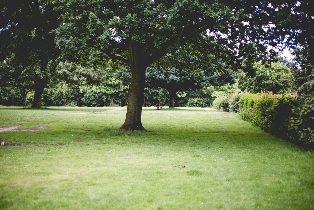 Park