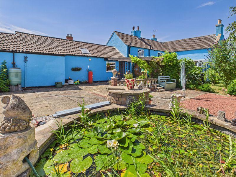 Garden/Pond