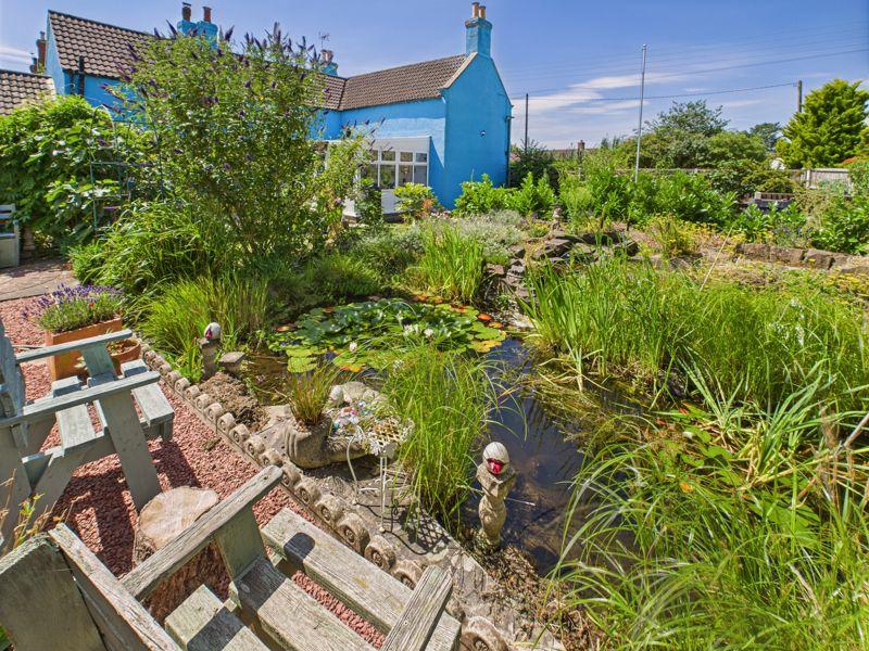 Garden/Pond